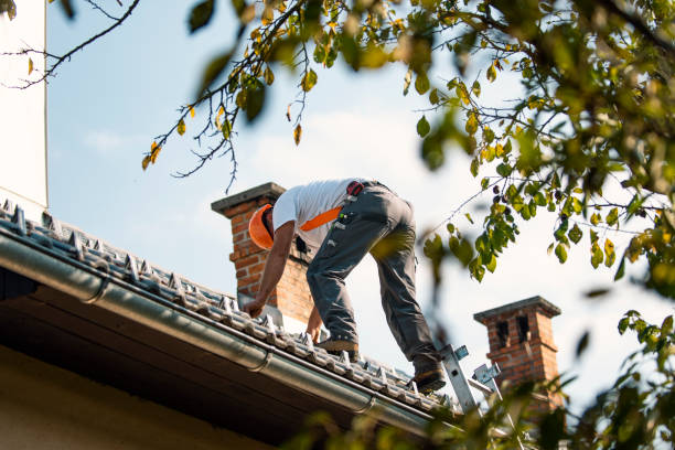 Best Roof Maintenance and Cleaning  in Vandenberg Af, CA